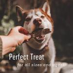 Farm Hounds Duck Strips - Natural Dog Treats