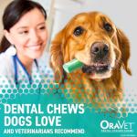 Oravet Dental Chews for Large Dogs, 30 Count