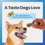 Blue Buffalo Chicken & Spearmint Dental Chews for Dogs