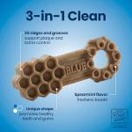 Blue Buffalo Chicken & Spearmint Dental Chews for Dogs