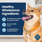 Blue Buffalo Chicken & Spearmint Dental Chews for Dogs