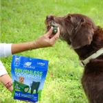ARK NATURALS Dog Dental Chews for Large Breeds