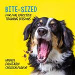 Crazy Dog Mini Training Reward Treats, 4 Ounce