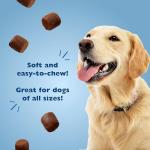 Bil-Jac Chicken Liver Dog Training Treats 4-Pack