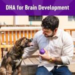 Grain-Free Soft Lamb & Salmon Puppy Treats