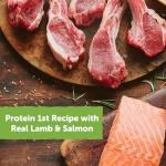Wellness Grain-Free Soft Lamb & Salmon Dog Treats