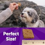 Wellness Grain-Free Soft Lamb & Salmon Dog Treats