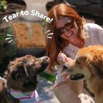 Wellness Grain-Free Soft Lamb & Salmon Dog Treats