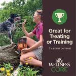 Wellness CORE Grain-Free Tiny Trainers Dog Treats