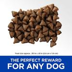 Hill's Soft & Chewy Chicken Dog Treats, 3 oz