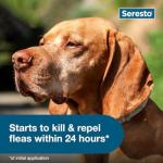 Seresto Large Dog Flea & Tick Prevention Collar
