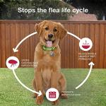 K9 Advantix II Flea, Tick & Mosquito Treatment