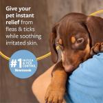 Flea and Tick Shampoo for Dogs and Cats