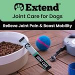 Joint Care Powder for Dogs - Hip & Flexibility Support