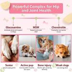Joint Supplement Chews for Dogs with Glucosamine