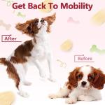Joint Supplement Chews for Dogs with Glucosamine