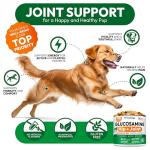 Petsology Glucosamine Chews for Hip and Joint Support