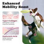 Hip and Joint Chews for Dogs - 180 Ct