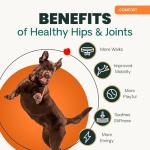 Extra Strength Joint Chews for Dogs, 120 Count