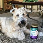 PetNC Natural Hip & Joint Soft Chews