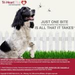 Tri-Heart Plus Chewable Tablets for Dogs, 6 Pack
