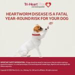 Tri-Heart Plus Chewable Tablets for Dogs, 6 Pack