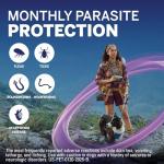 NexGard Plus Flea, Tick, and Heartworm Chews