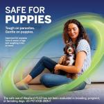 NexGard Plus Flea, Tick, and Heartworm Chews