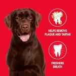 Petrodex Enzymatic Dog Toothpaste, Poultry Flavor