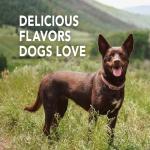 Petrodex Enzymatic Dog Toothpaste, Poultry Flavor