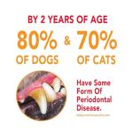 Petrodex Enzymatic Dog Toothpaste, Poultry Flavor