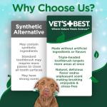 Vet's Best Dog Toothpaste and Toothbrush Kit