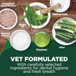 Vet's Best Dog Toothpaste and Toothbrush Kit
