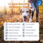 Zesty Paws Senior Dog Multivitamin Treats – 90ct