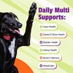Pet Naturals Daily Dog Multivitamin Chews - 30ct