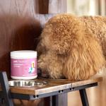 Daily Multivitamin Powder for Dogs - Beef Flavor
