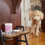 Daily Multivitamin Powder for Dogs - Beef Flavor