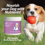 Daily Multivitamin Powder for Dogs - Beef Flavor