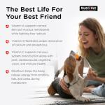 Nutri-Vet Daily Multivitamin Chewables for Dogs