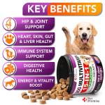 Chewable Dog Multivitamins with Glucosamine - 120 Chews