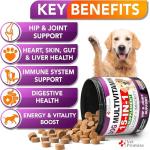 2 Pack Dog Multivitamin Chews with Glucosamine