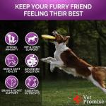 2 Pack Dog Multivitamin Chews with Glucosamine