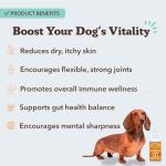 Wild Alaskan Salmon Oil for Dogs - Omega 3