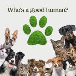 Pawfume Dog Detangler Spray for Itchy Coats