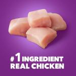 IAMS Adult Dry Dog Food - Chicken & Salmon 36 lb