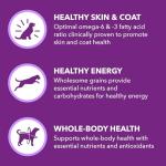 IAMS Adult Dry Dog Food - Chicken & Salmon 36 lb