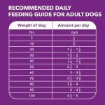 IAMS Adult Dry Dog Food - Chicken & Salmon 36 lb