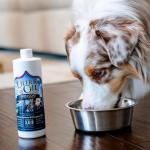 Skin and Coat Supplement for Dogs and Cats