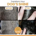 Omega 3 Soft Chews for Healthy Skin & Coat