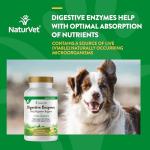 NaturVet Digestive Enzymes with Probiotics for Pets